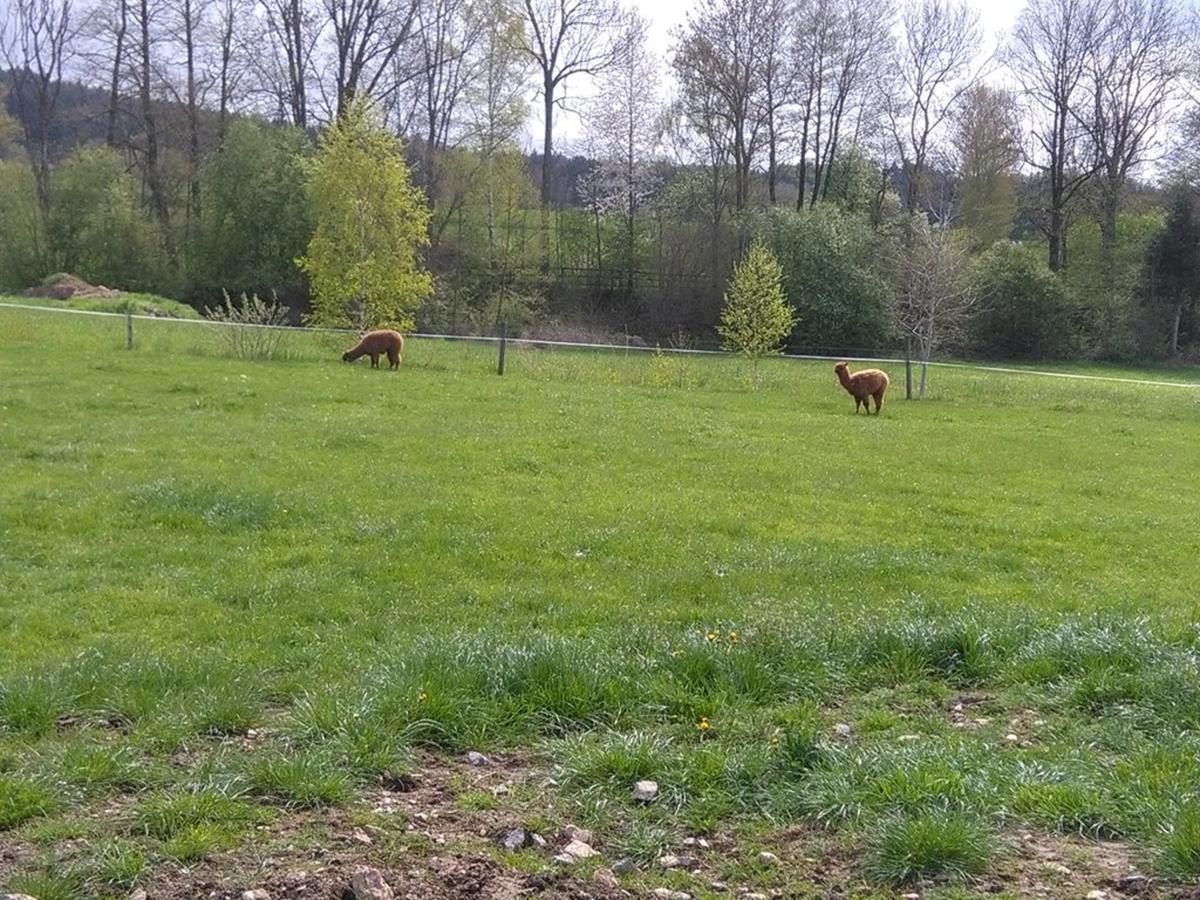 Familie Meimer Hofing Zewnętrze zdjęcie